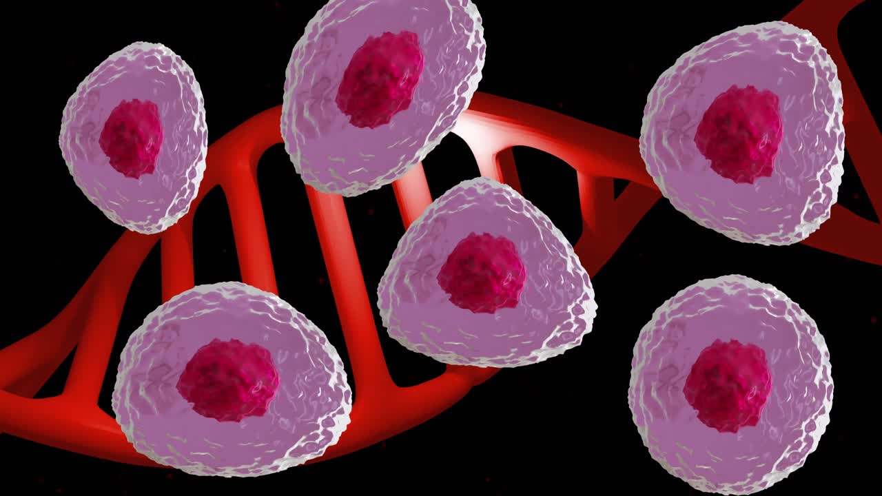 검은색 배경에 있는 인체와 dna 줄기의 애니메이션