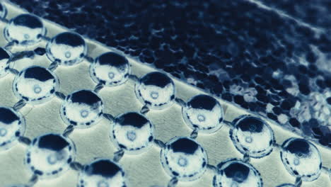 close-up view of decorative trim with small circles