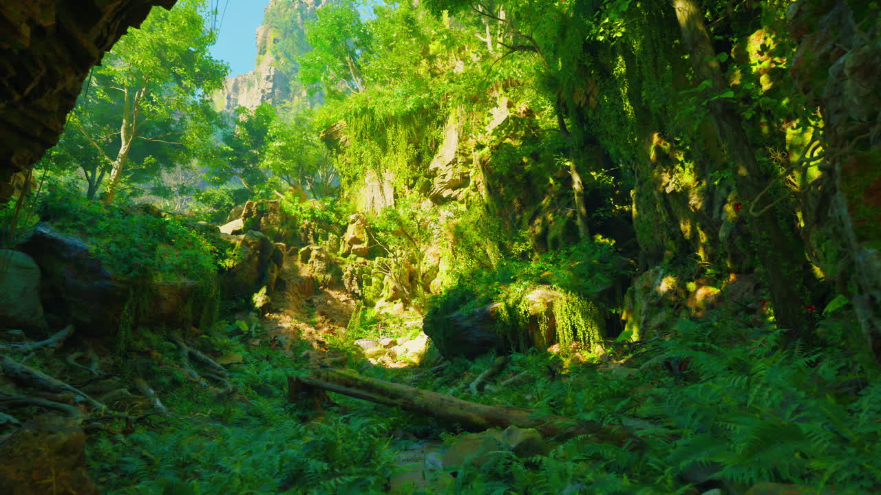 울창 한 열대 정글 풍경