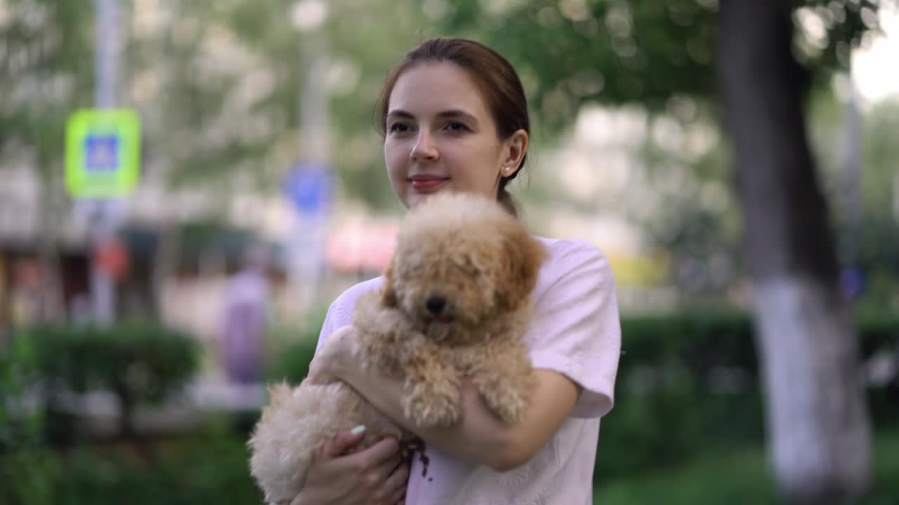 공원에서 고 있는 장난감 푸들 여자.