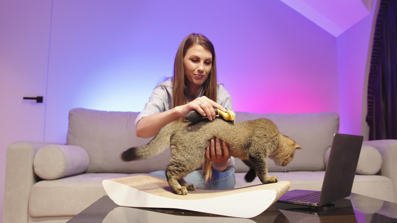 Donna che toeletta un gatto a casa