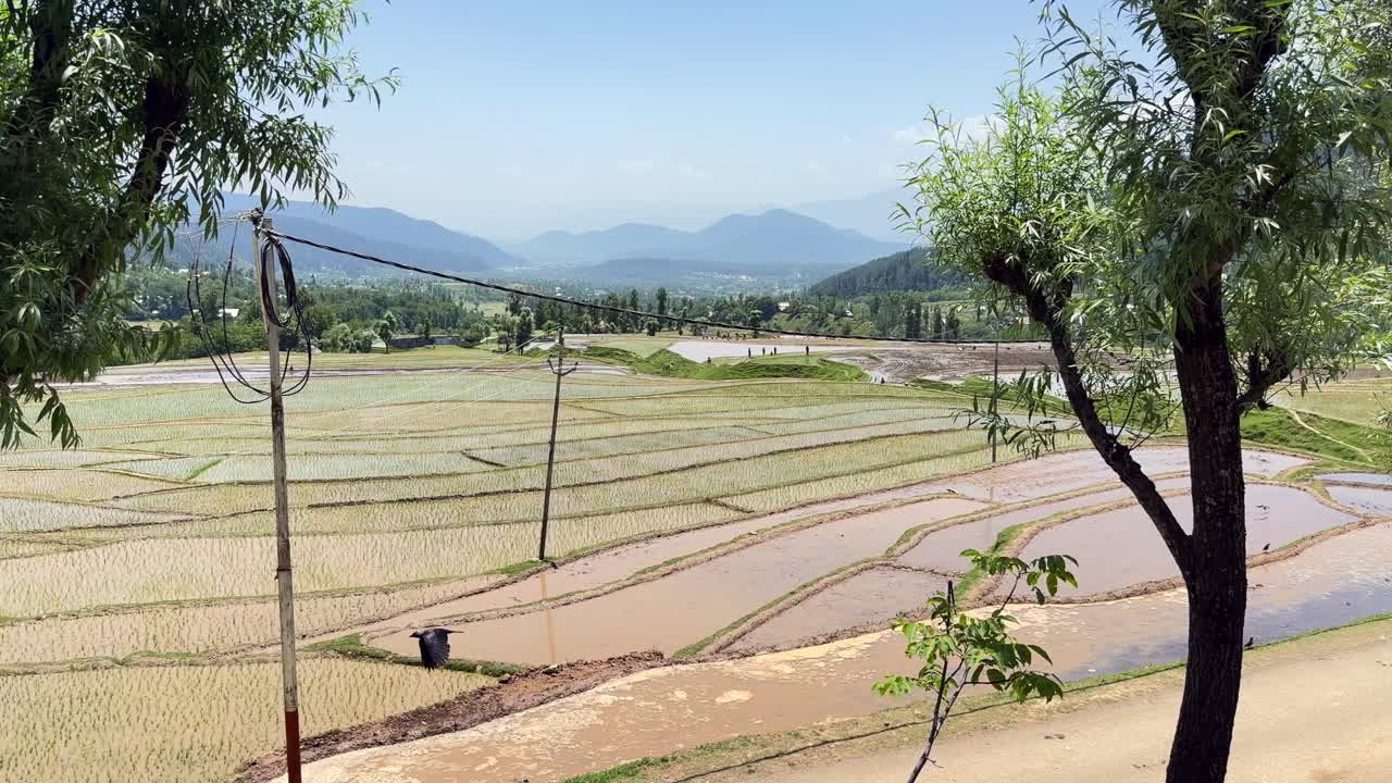 Beauty of Rural India and farmers land, Nature beauty, Hills, Green Fields with Village Life in Forest area and Timeless Travel Escapes