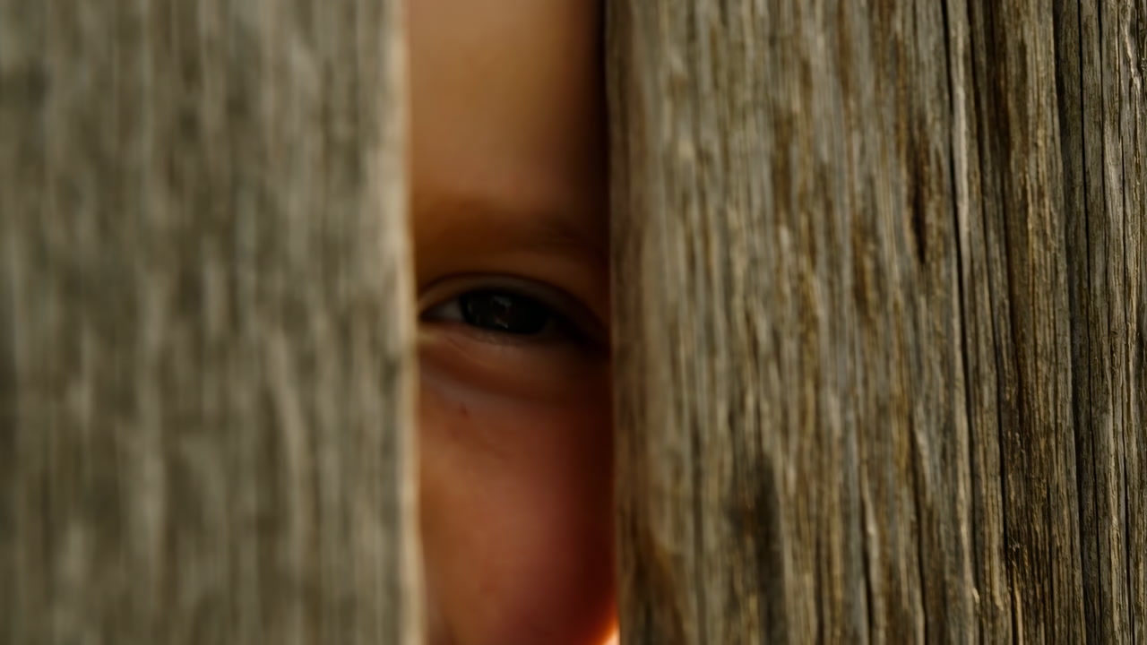 Child Peeking Through Wooden Fence, Closeup Eye Visible Between Weathered Slats Playful Hideandseek Scene