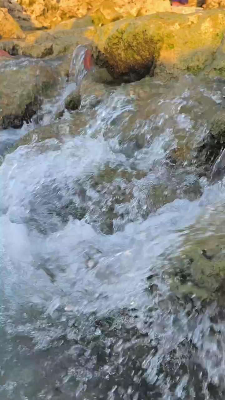 Acqua limpida che scorre su rocce muschiose in un ruscello