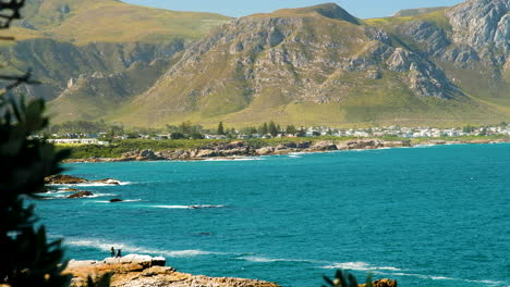 seaside town hermanus famous for its land-based whale