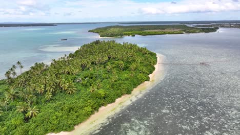 tropical island around tonga coastal. pristine waters with coral reef, palm tree forest. exotic paradise
