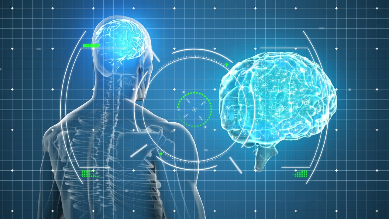 Animazione di elaborazione dati su corpo umano con cervello luminoso.