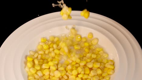 yellow corn kernels fall onto a white plate against a black background, captured in slow motion with bright, even lighting and a static overhead camera
