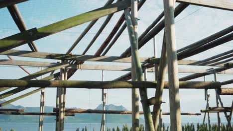 norwegian cod fish drying racks on the foreshore in norway