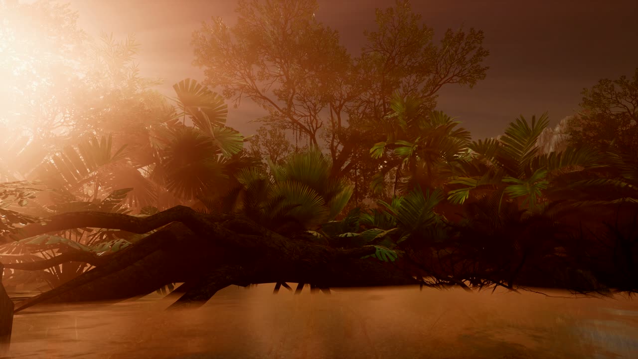 los rayos del atardecer a través de las palmeras