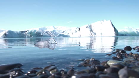 black pebbles and icebergs on the sea coast of iceland, close up shot