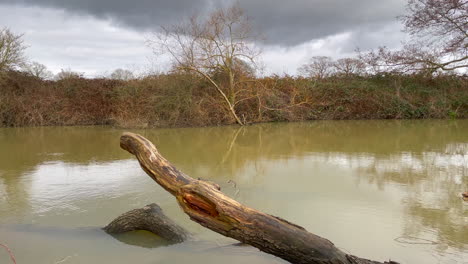 Landschaftsaufnahme-Mit-Blick-Auf-Einen-Trüben-Fluss-An-Einem-Wintertag-Mit-Totem-Holz-An-Einem-Bewölkten-Tag