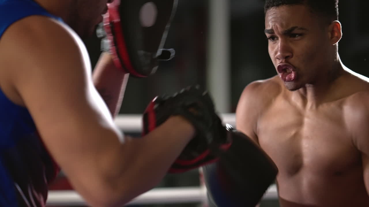 권투 훈련 세션