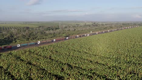 órbita aérea de un gran número de camiones de carga atrapados en una larga cola en una carretera antes de un puesto fronterizo