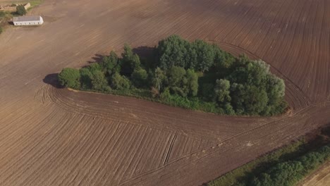 Ein-Kleiner-Gewässerteich,-Umgeben-Von-Büschen-Und-Bäumen-Auf-Landwirtschaftlichen-Feldern