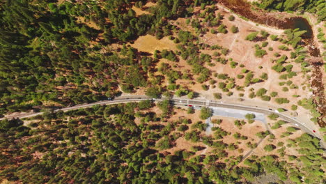 cars going by the road in yosemite national park, california, united states. pine tree forest growing on the dry rocky landscape from top view.
