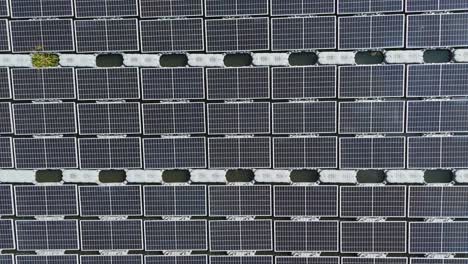 a top-down, overhead drone shot of malaysia's largest floating solar farm on danau tok uban, kelantan, showing the geometric grid pattern of solar panels on the water's surface