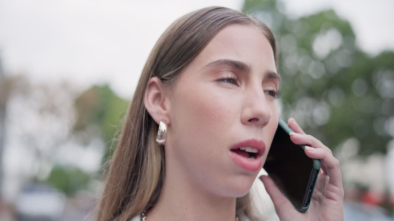 사업 여성, 전화 통화 및 대외 대화