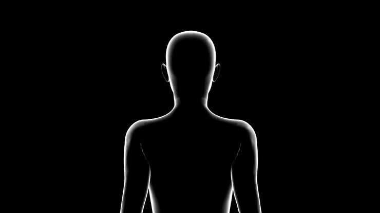 Woman, Female Body 3D Model, Seamless Loop