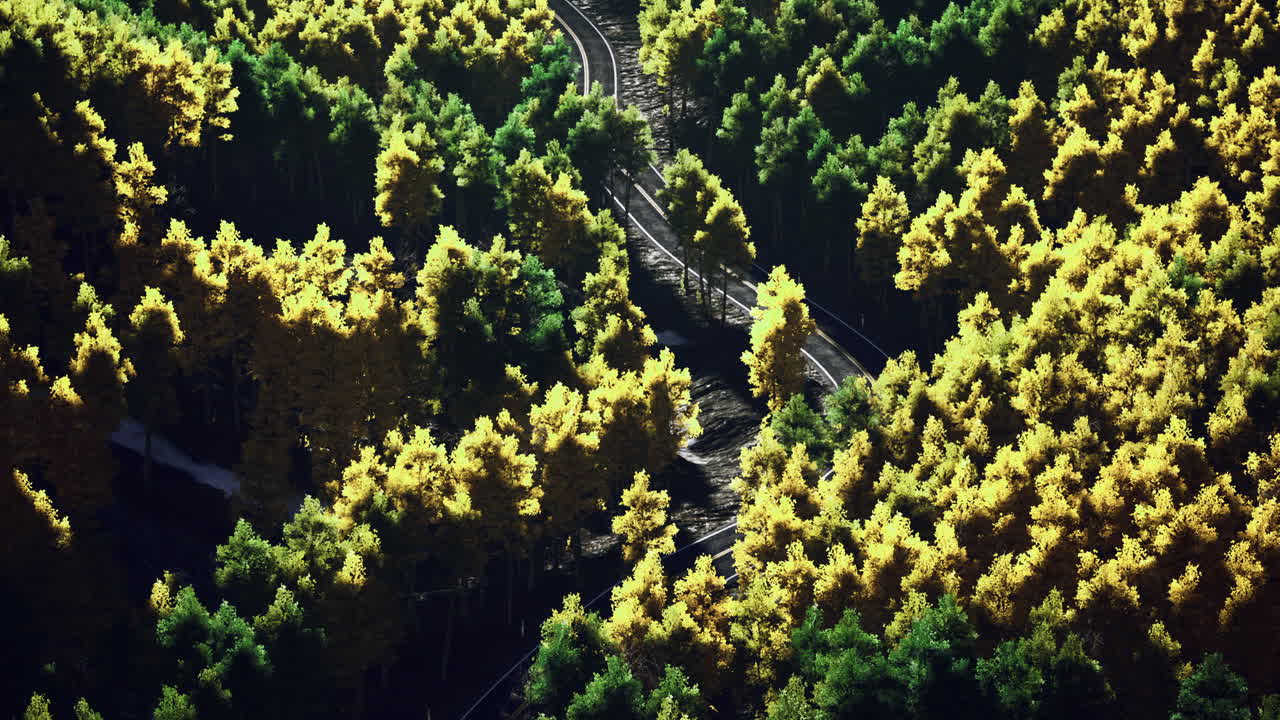Scenic winding road through vibrant green and yellow forest landscape