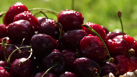 Rote-Reife-Süßkirschen-In-Nahaufnahme-Mit-Wassertropfen-Im-Korb-Auf-Dem-Gras