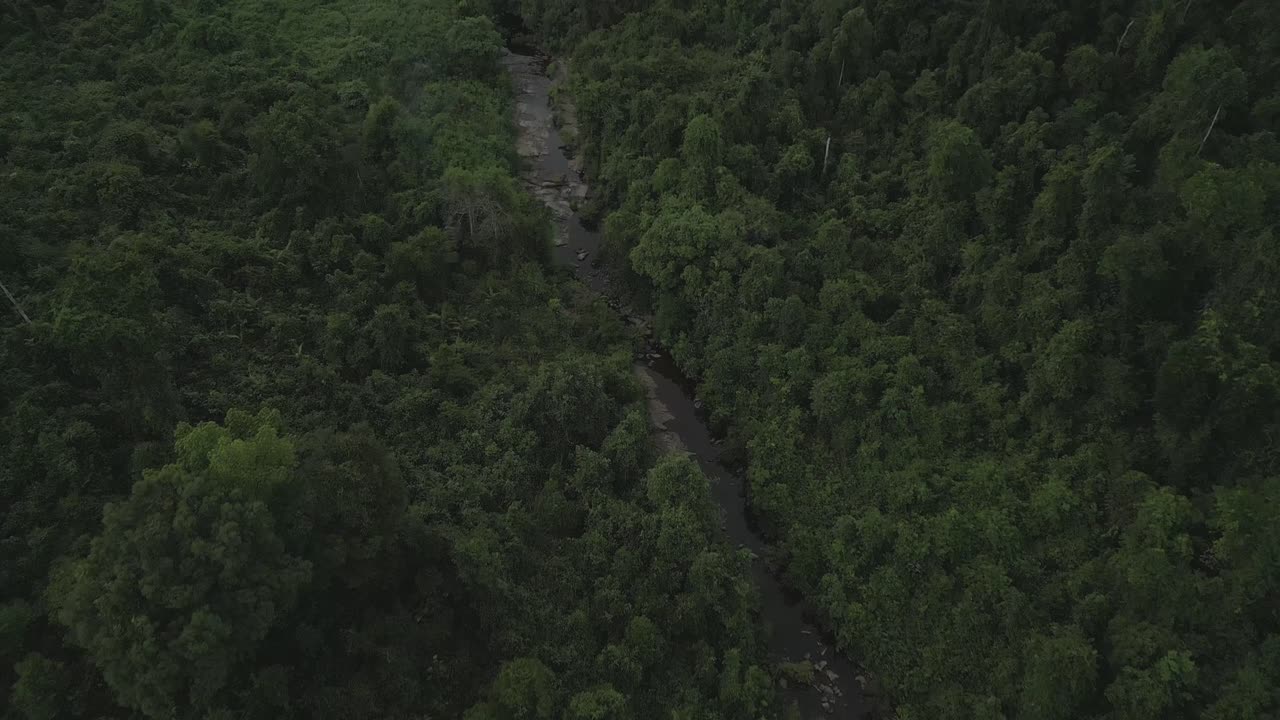 Aerial view of a dense tropical rainforest with a winding river cutting through the lush green canopy, showcasing untouched wilderness and natural beauty.
