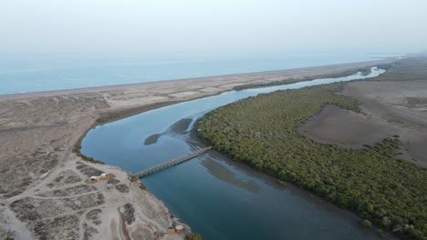 Aerial-view-of-the-Kalba-Mangrove-Forest,-also-known-as-Khor-Kalba-located-in-the-northern-emirates-of-Sharjah,-United-Arab-Emirates