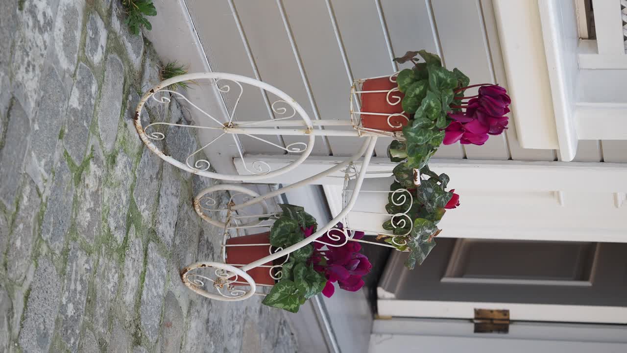 Sjarmerende sykkelplanter med blomster