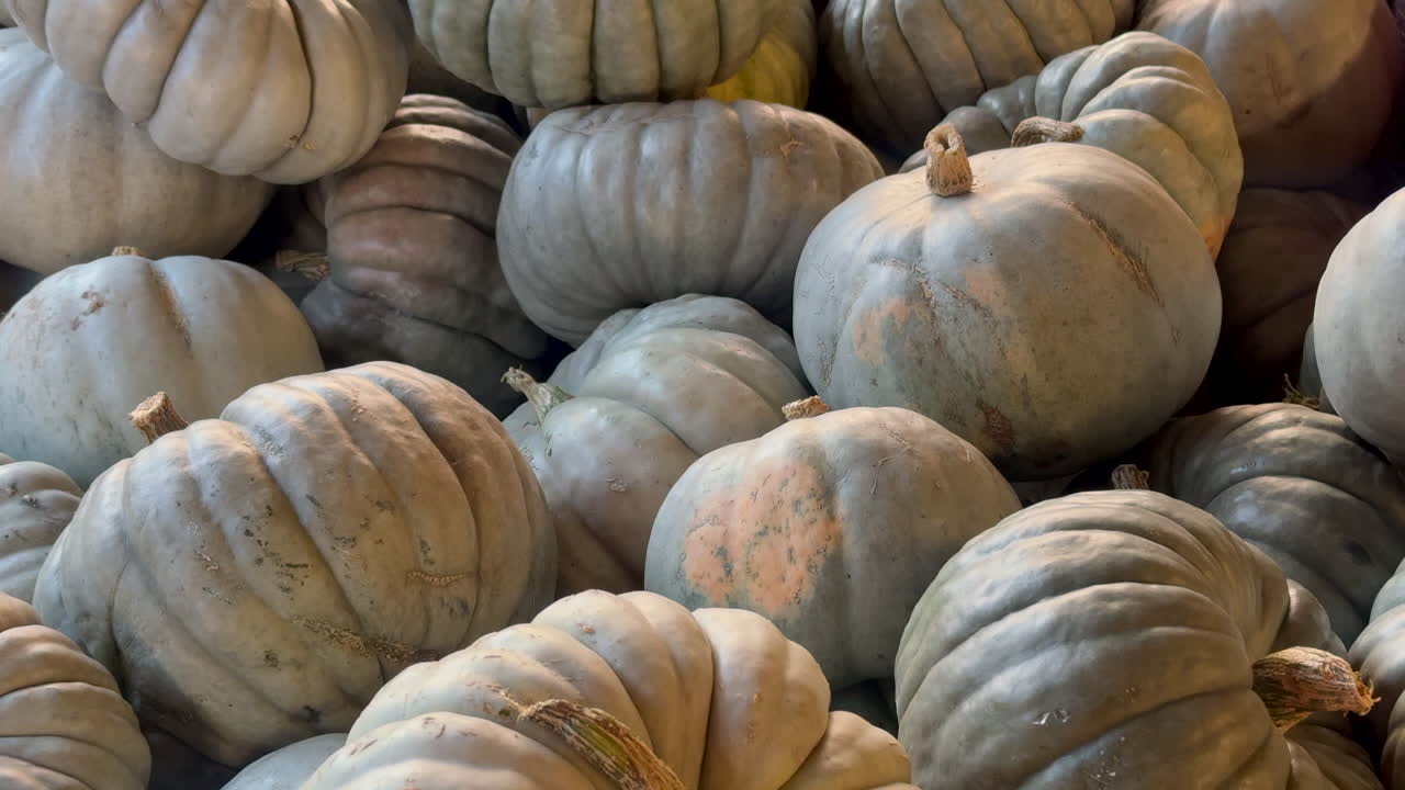 A close-up of heirloom pumpkins arranged at a farmers market