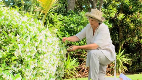 mujer jubilada de jardinería