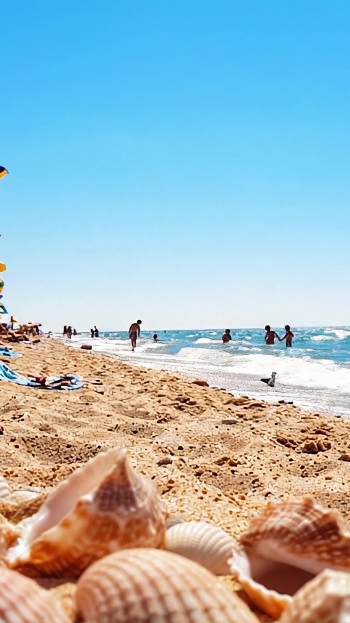 A Stunning Summer Day at the Beach Featuring Beautiful Seashells on Sandy Shores with People Enjoying the Water and Clear Blue Skies Above