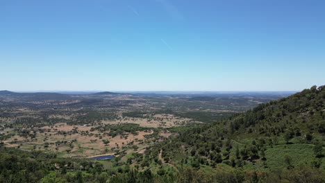 aerial view of castelo de vide forested landscape, portuguese destination