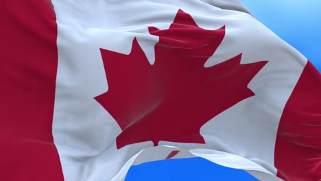 un bucle sin costuras de la bandera canadiense.