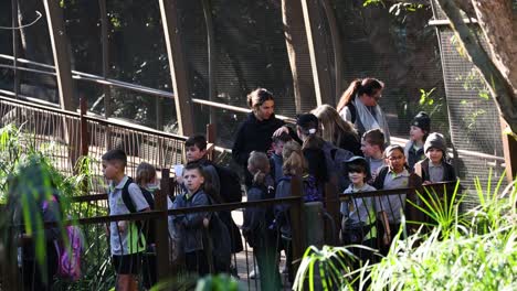 children and adults observing animals at the zoo