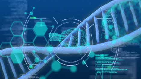 Animation-Der-Wissenschaftlichen-Datenverarbeitung-über-DNA-Strang