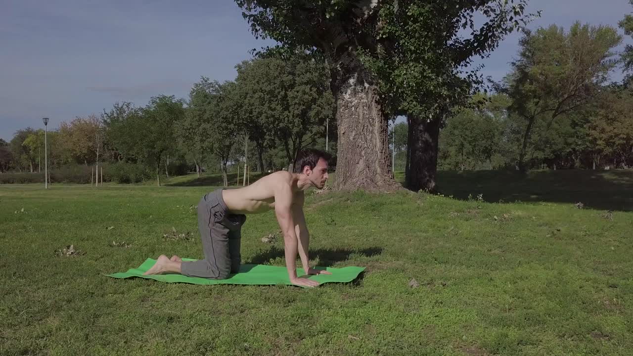 un joven sano está haciendo asanas de yoga en el parque en una cómoda estera desarrollando resistencia y flexibilidad