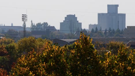 Autumn-City-Scape,-Yellow-Leaves,-Fall-Colours