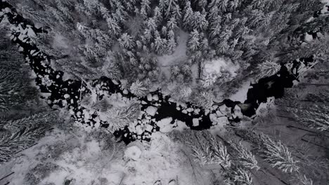 overhead ascending drone view into clouds, snow covered river, trees, wilderness