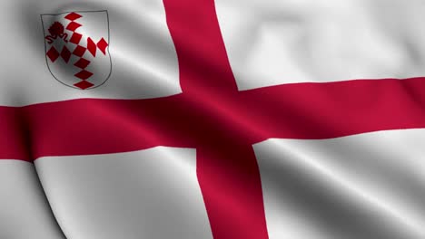 flag of the diocese of southwark