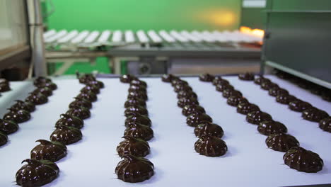 marshmallows coated in black chocolate on the conveyor belt. the conveyor with white zephyr candies at the background in blur.
