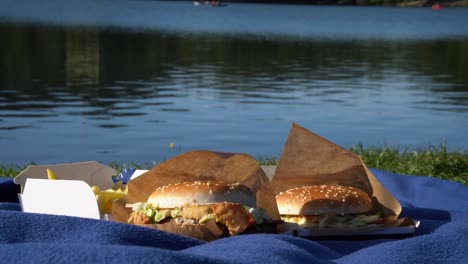 two hamburgers with french fries in paper boxes sitting on a blue blanket by the lake