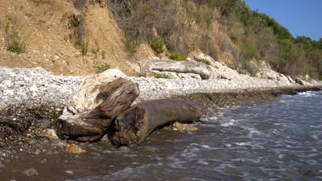 Beach-in-Greece,-foamy-waves-wash-over-the-pebble-beach-and-a-dry-branch