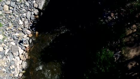 A-fly-fisherman-casts-to-fish-hiding-in-a-dark-river-in-the-high-rockies-of-Colorado