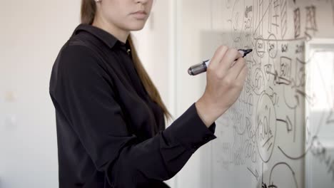 young female business professional preparing presentation