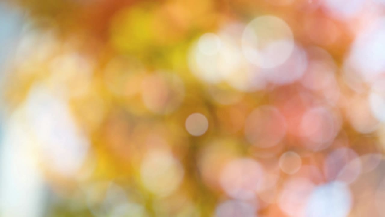 fondo de resorte abstracto con bokeh