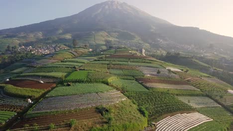 aerial drone view of a vegetable plantation on the slopes of mount sumbing, central java, indonesia