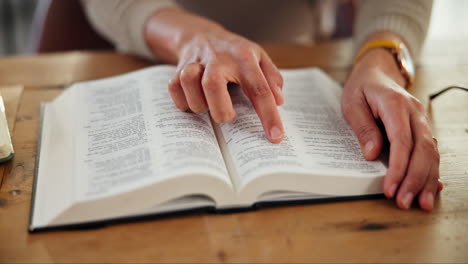 woman reading a bible
