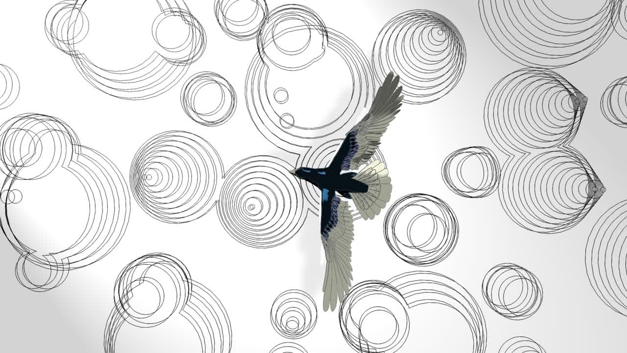 3d 애니메이션, 많은 원이 있는 지형 위를 날아다니는 새 (라인 아트)