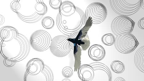 animación 3d, un pájaro volando sobre un terreno con muchos círculos (arte de líneas)