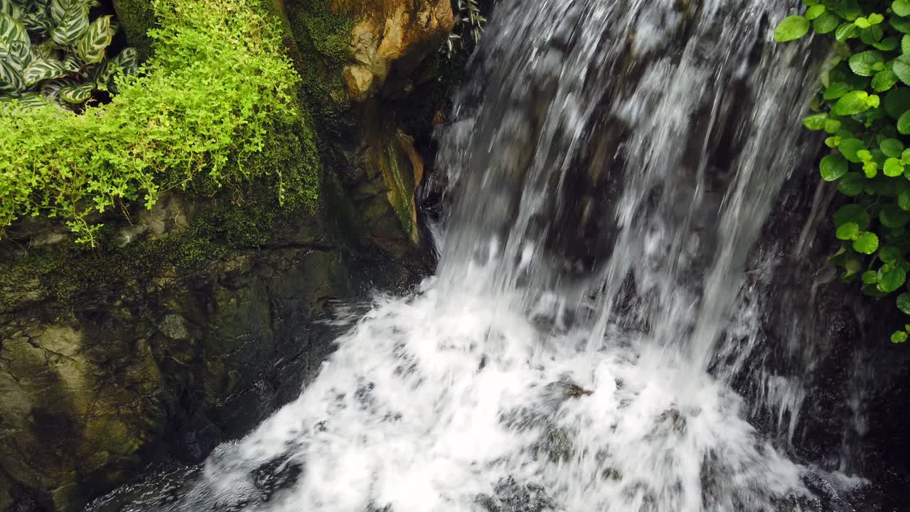 cascada con corriente rápida rodeada de exuberante naturaleza verde